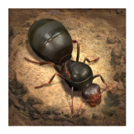 The Ants v3.44.0