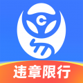 车行易查违章app