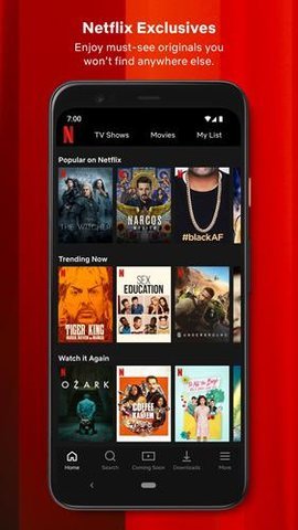 Netflix网飞图