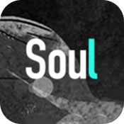 soul普通版 v5.2.0