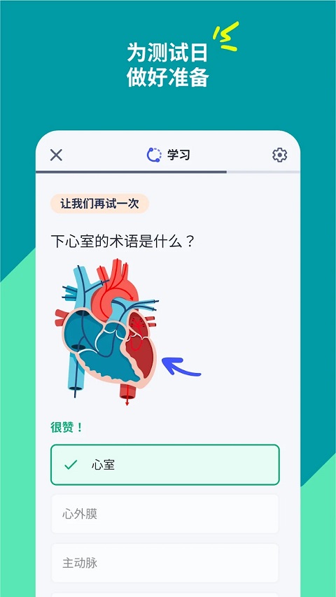 Quizlet安卓版下载图