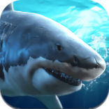 真实模拟鲨鱼捕食 v1.0.0.0123